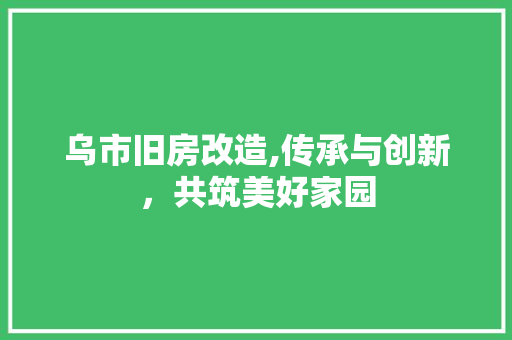 乌市旧房改造,传承与创新，共筑美好家园