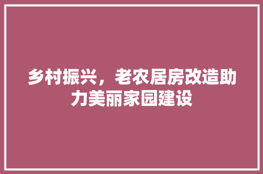 乡村振兴，老农居房改造助力美丽家园建设
