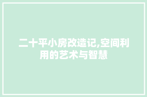 二十平小房改造记,空间利用的艺术与智慧