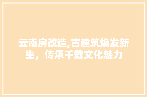 云南房改造,古建筑焕发新生，传承千载文化魅力