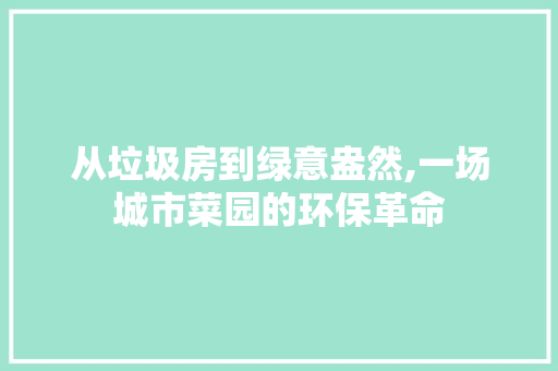 从垃圾房到绿意盎然,一场城市菜园的环保革命