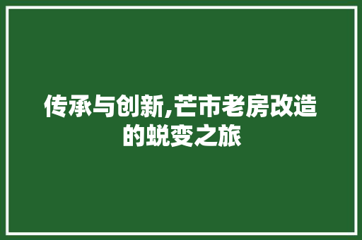 传承与创新,芒市老房改造的蜕变之旅