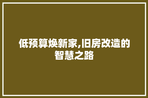 低预算焕新家,旧房改造的智慧之路