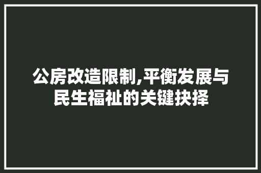 公房改造限制,平衡发展与民生福祉的关键抉择