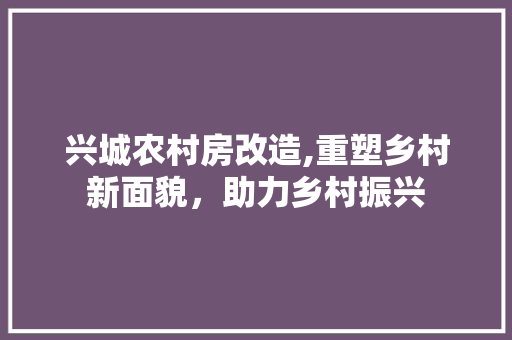 兴城农村房改造,重塑乡村新面貌，助力乡村振兴