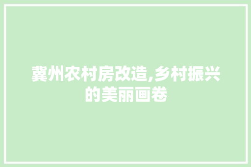 冀州农村房改造,乡村振兴的美丽画卷