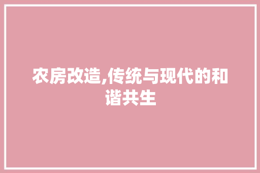 农房改造,传统与现代的和谐共生