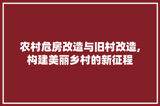 农村危房改造与旧村改造,构建美丽乡村的新征程