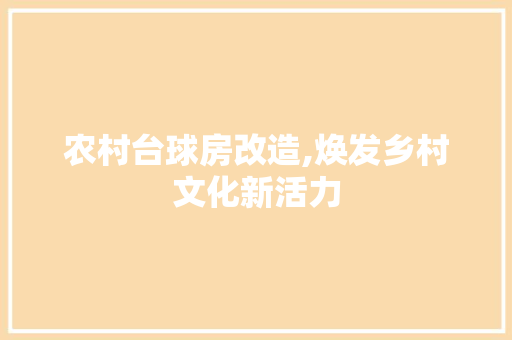 农村台球房改造,焕发乡村文化新活力