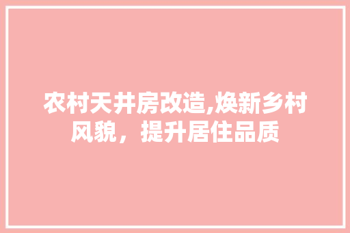 农村天井房改造,焕新乡村风貌，提升居住品质