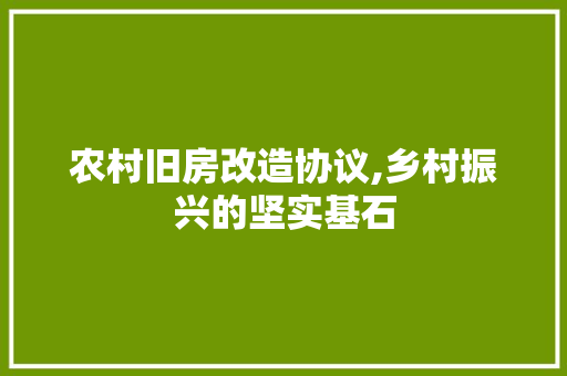 农村旧房改造协议,乡村振兴的坚实基石