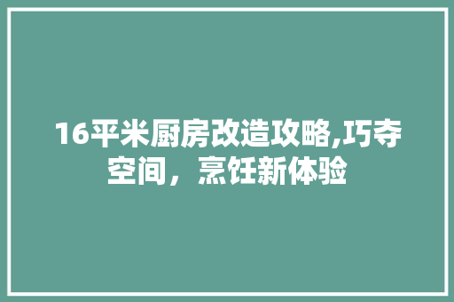 16平米厨房改造攻略,巧夺空间，烹饪新体验