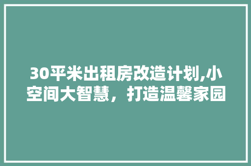 30平米出租房改造计划,小空间大智慧，打造温馨家园