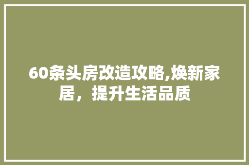 60条头房改造攻略,焕新家居，提升生活品质 住宅建筑设计
