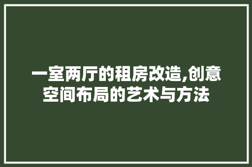 一室两厅的租房改造,创意空间布局的艺术与方法