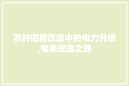 农村旧房改造中的电力升级,电表改造之路