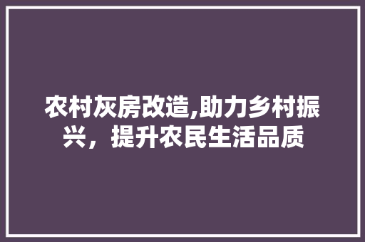农村灰房改造,助力乡村振兴，提升农民生活品质