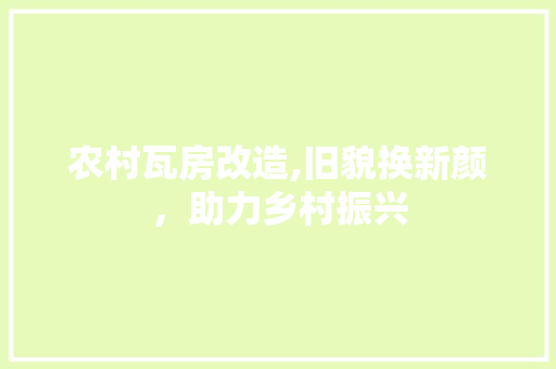 农村瓦房改造,旧貌换新颜，助力乡村振兴
