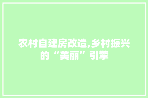 农村自建房改造,乡村振兴的“美丽”引擎 常见问题