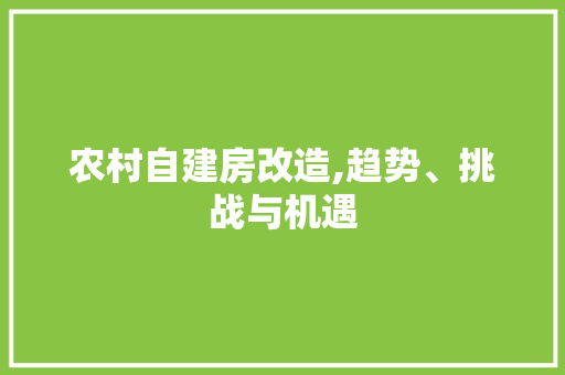 农村自建房改造,趋势、挑战与机遇