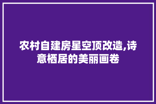 农村自建房星空顶改造,诗意栖居的美丽画卷
