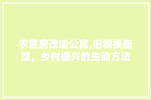 农民房改造公寓,旧貌换新颜，乡村振兴的生动方法
