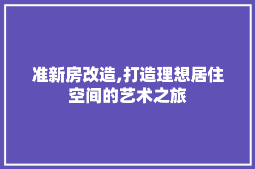 准新房改造,打造理想居住空间的艺术之旅