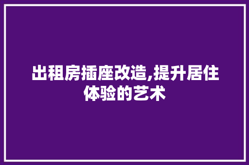 出租房插座改造,提升居住体验的艺术