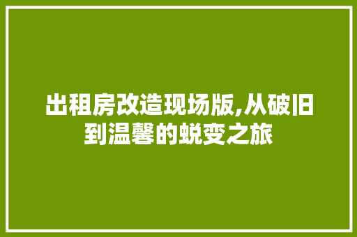 出租房改造现场版,从破旧到温馨的蜕变之旅