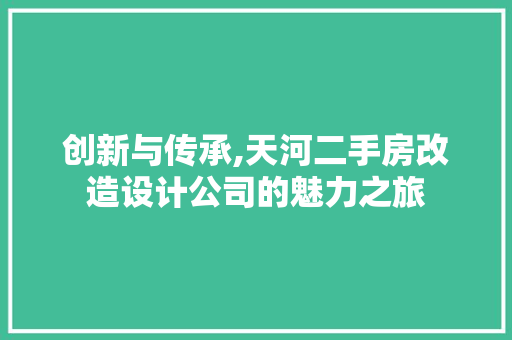 创新与传承,天河二手房改造设计公司的魅力之旅