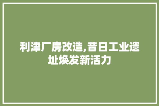 利津厂房改造,昔日工业遗址焕发新活力 建筑设计