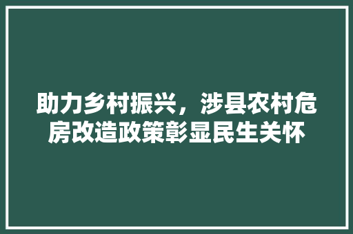 助力乡村振兴，涉县农村危房改造政策彰显民生关怀