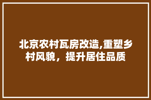 北京农村瓦房改造,重塑乡村风貌，提升居住品质