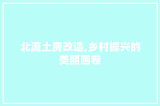 北流土房改造,乡村振兴的美丽画卷