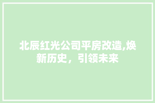 北辰红光公司平房改造,焕新历史，引领未来