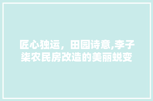 匠心独运，田园诗意,李子柒农民房改造的美丽蜕变