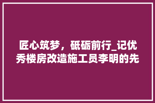 匠心筑梦，砥砺前行_记优秀楼房改造施工员李明的先进事迹