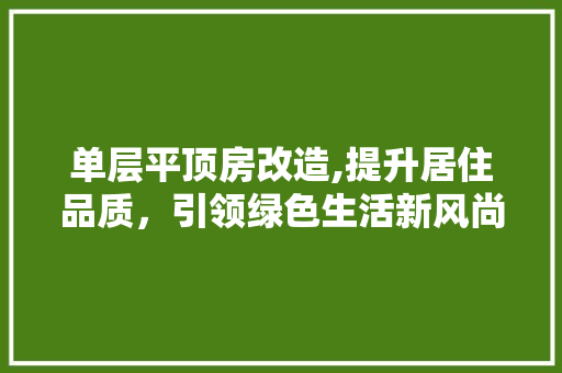 单层平顶房改造,提升居住品质，引领绿色生活新风尚