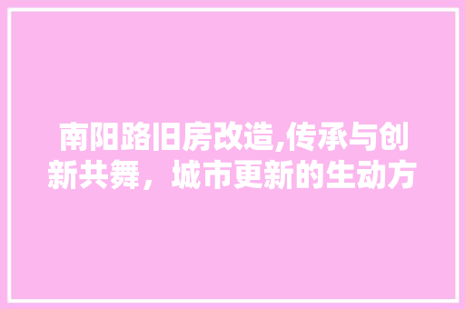 南阳路旧房改造,传承与创新共舞，城市更新的生动方法