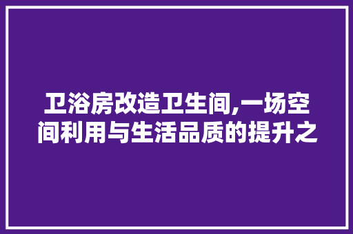 卫浴房改造卫生间,一场空间利用与生活品质的提升之旅