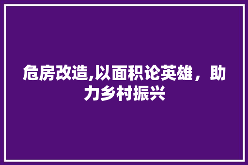 危房改造,以面积论英雄，助力乡村振兴