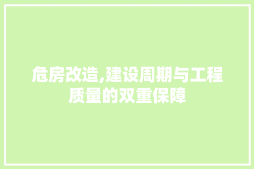 危房改造,建设周期与工程质量的双重保障
