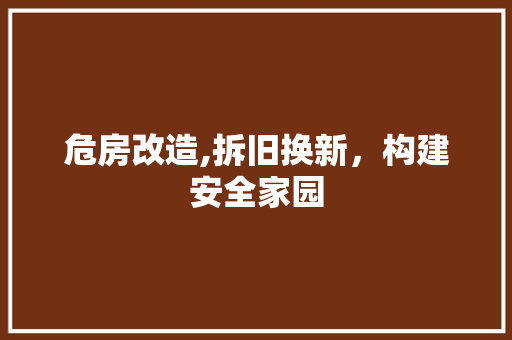 危房改造,拆旧换新，构建安全家园