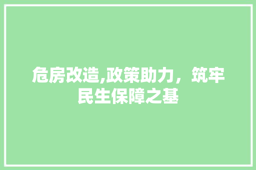 危房改造,政策助力，筑牢民生保障之基 建筑设计