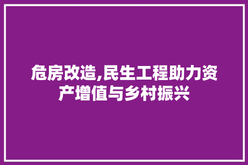 危房改造,民生工程助力资产增值与乡村振兴