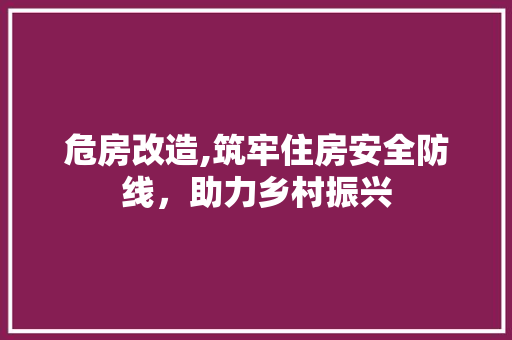 危房改造,筑牢住房安全防线，助力乡村振兴
