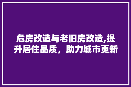危房改造与老旧房改造,提升居住品质，助力城市更新