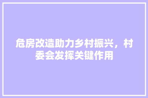 危房改造助力乡村振兴，村委会发挥关键作用
