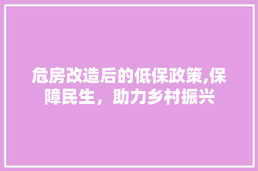 危房改造后的低保政策,保障民生，助力乡村振兴