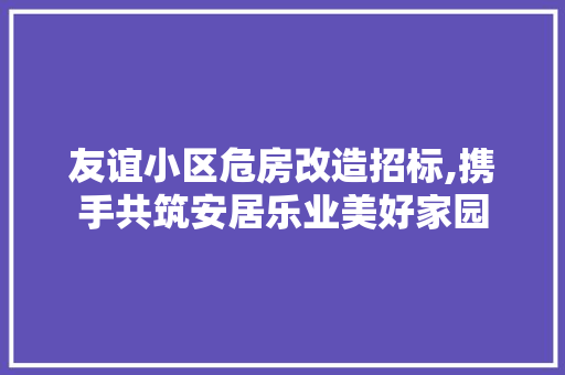 友谊小区危房改造招标,携手共筑安居乐业美好家园